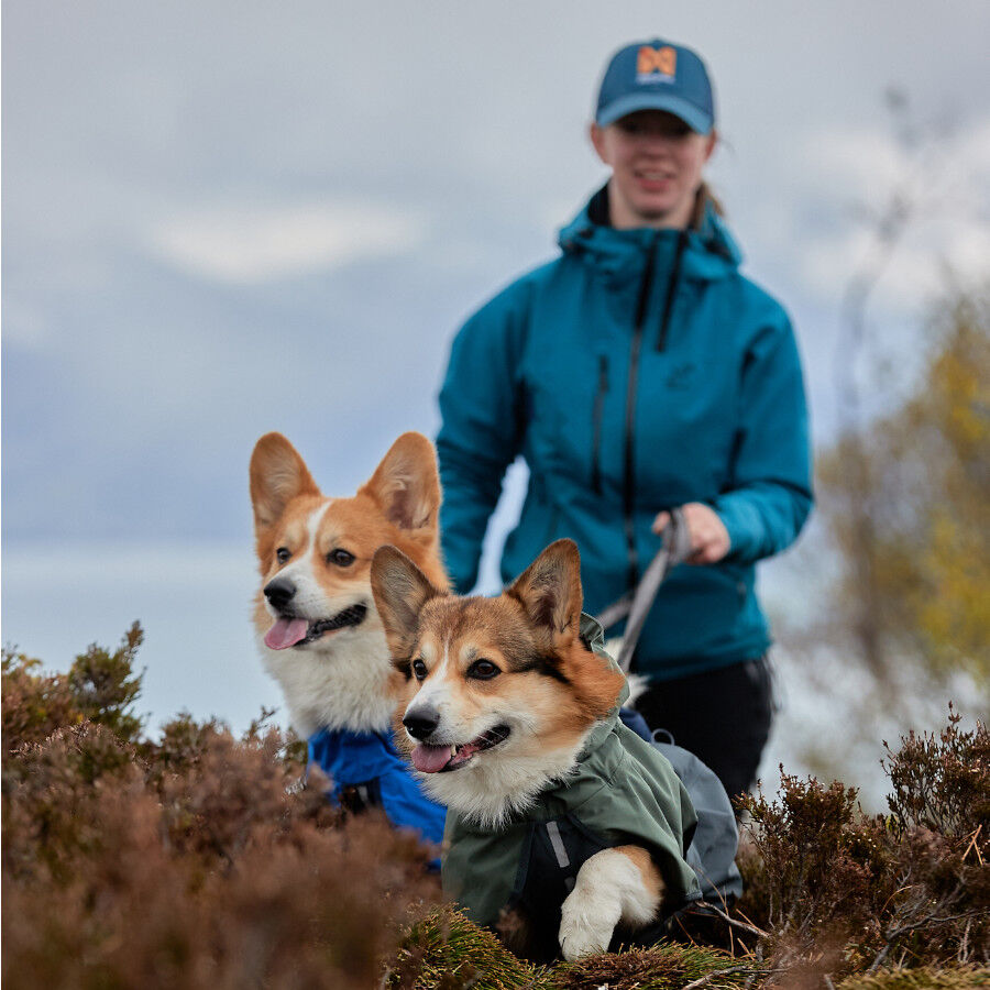 Non-stop dogwear Fjord Chubasquero Impermeable Azul para perros, , large indicador imagen numero 5
