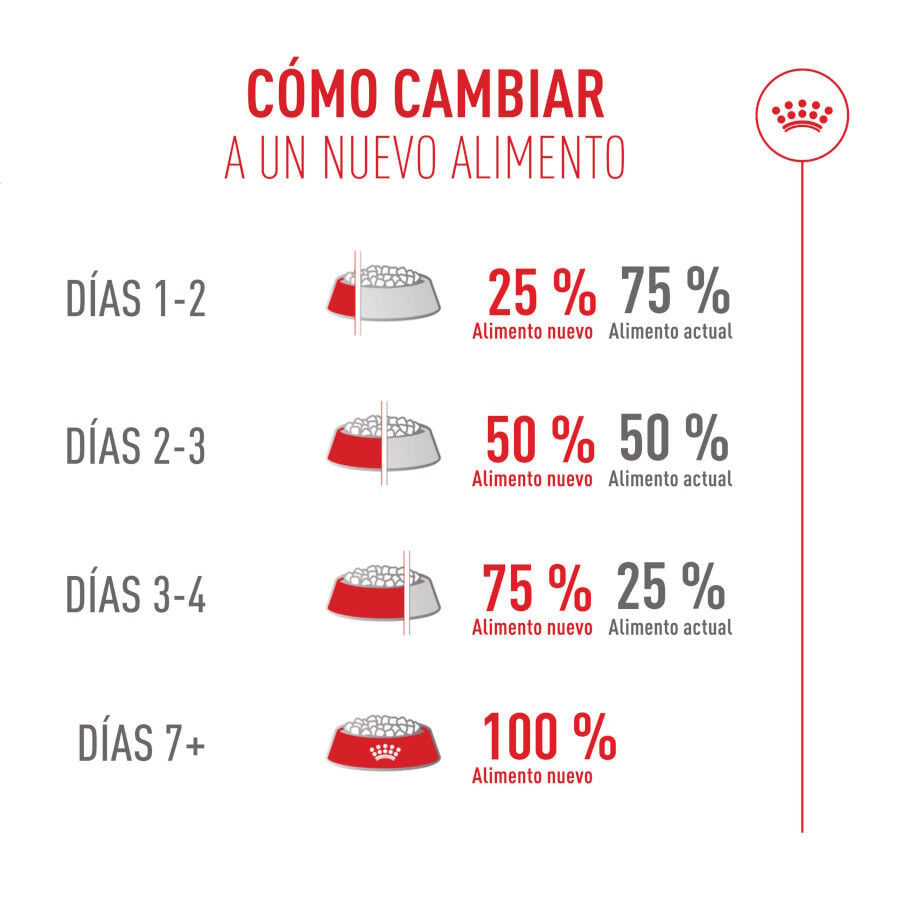 2 kg Royal Canin Fussy Exigent Pienso Ave para gatos, , large indicador imagen numero 11