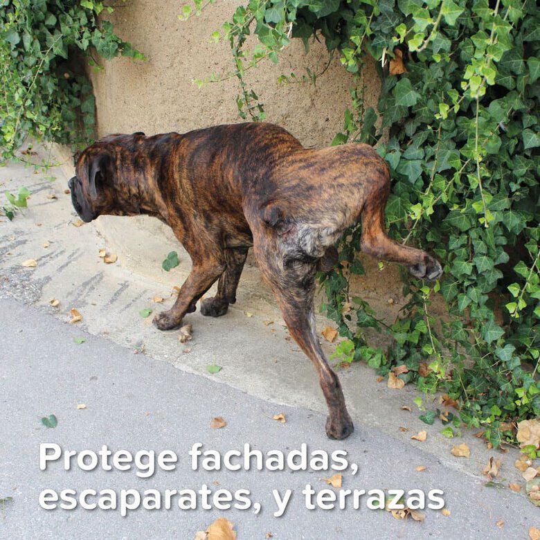 Beaphar Spray Educador para Exterior para perros y gatos, , large Imagen numero 4
