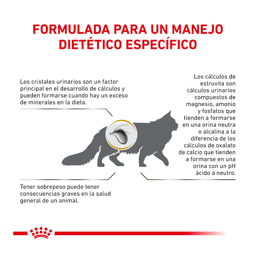 9 kg Royal Canin Veterinary Urinary Moderate Calorie pienso para gatos, , large indicador imagen numero 5