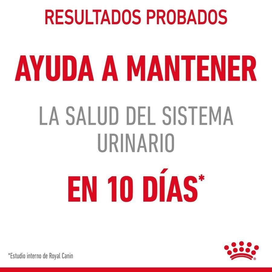 85 g Royal Canin Urinary Sobre en Salsa para gatos, , large indicador imagen numero 8