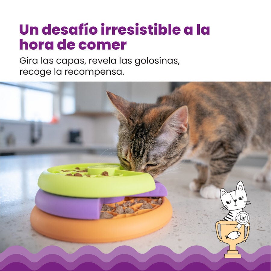Catstages Nina Ottosson Kitty Lickin&rsquo; Layers Comedero Interactivo para gatos, , large indicador imagen numero 7