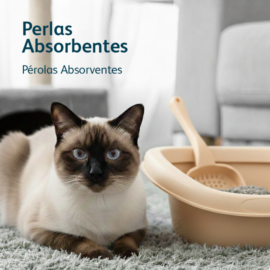 4 L Nova Clean Perlas Absorbentes para gatos, , large indicador imagen numero 5