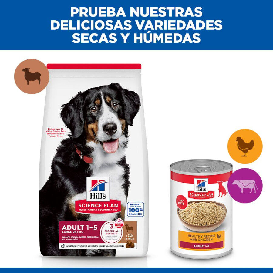 14 kg Hill's Science Plan Adult Large Cordero pienso para perros, , large Imagen numero 8