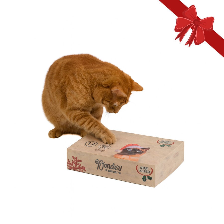Wonder Christmas Caja Sorpresa Juguetes Navide&ntilde;os para gatos, , large Imagen numero 1