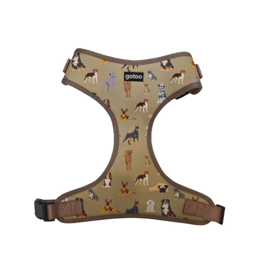 Gotoo Arn&eacute;s ajustable estampado marr&oacute;n para perros, , large indicador imagen numero 1
