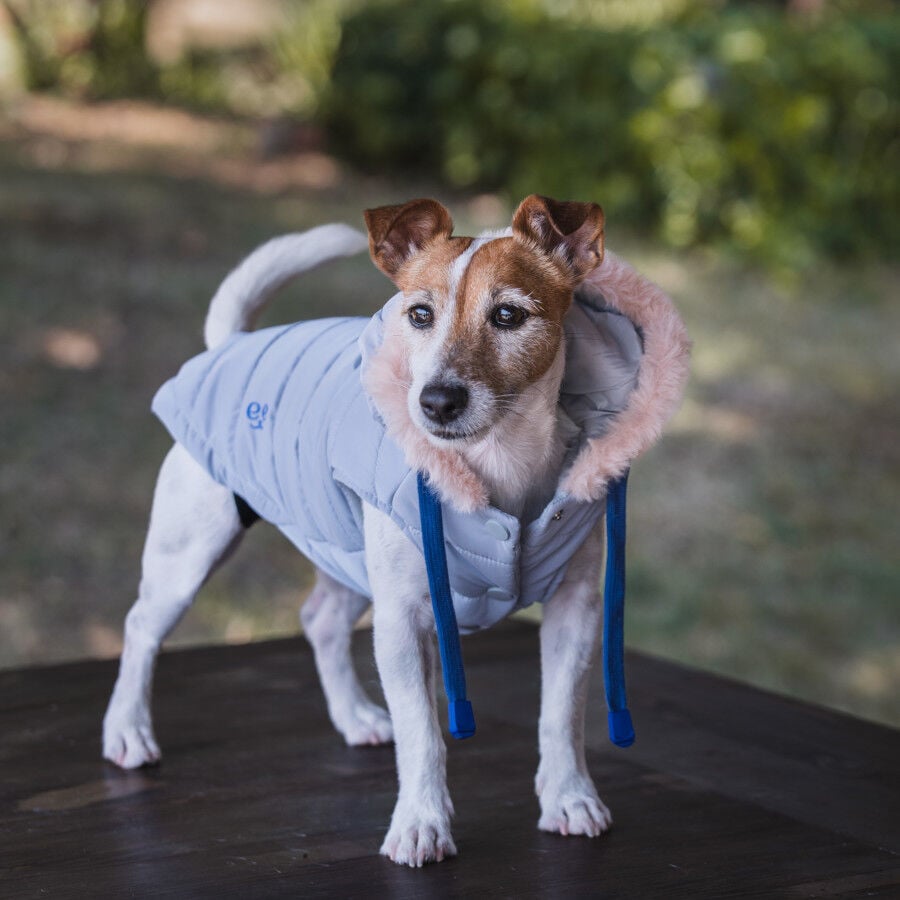 Freedog Abrigo Impermeable Iceguard Gris para perros, , large indicador imagen numero 3