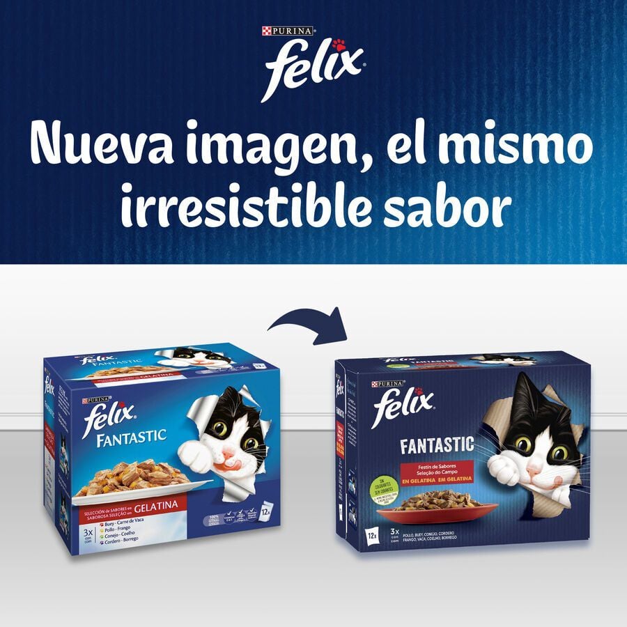 4 sobres x 85 g Felix Junior Fantastic Carne y Pescado en Gelatina sobre para gatos, , large Imagen numero 7