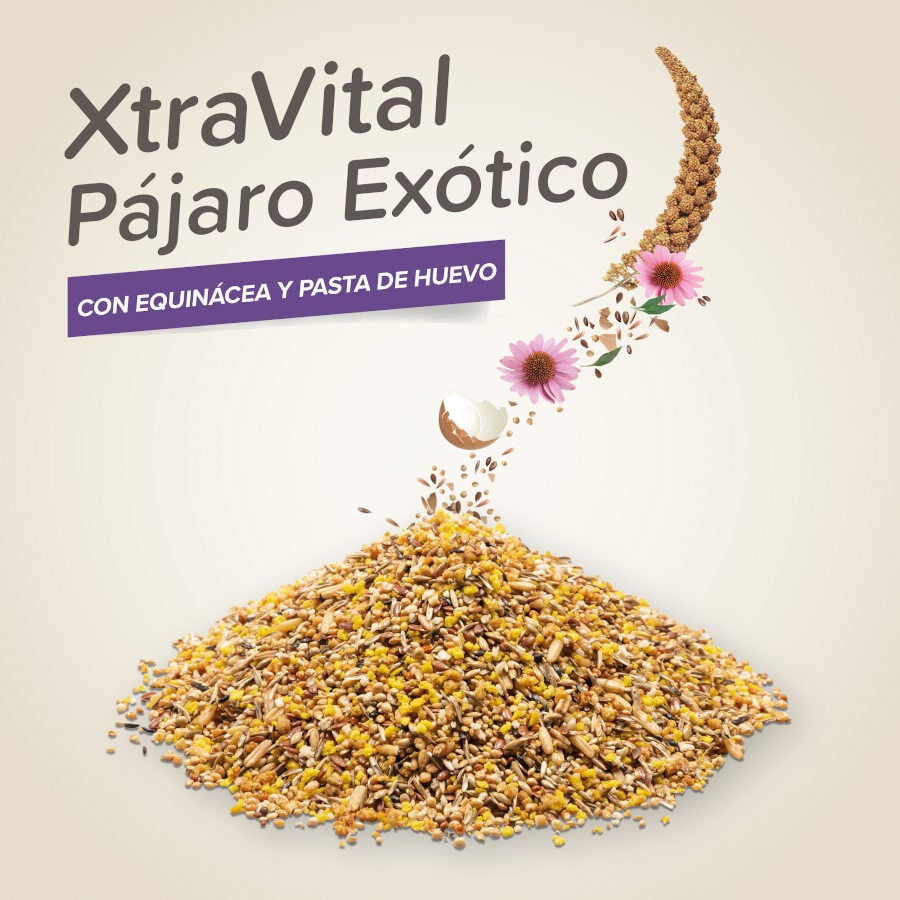 Beaphar XtraVital Premium Mixtura de Semillas para p&aacute;jaros ex&oacute;ticos, , large Imagen numero 3