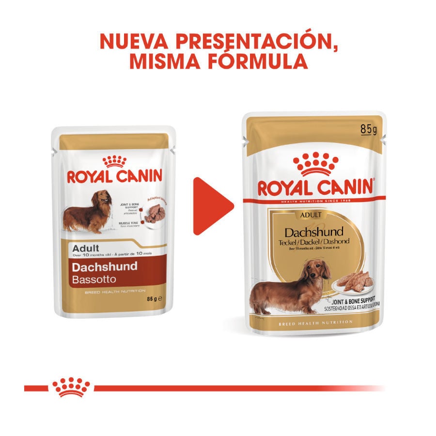 85 g Royal Canin Adult Teckel pat&eacute; en sobre para perros, , large Imagen numero 3