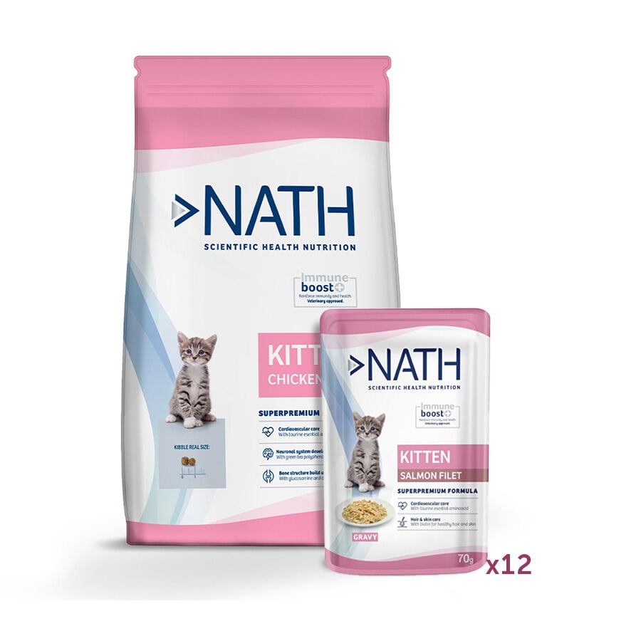 Pack Comida Gatitos Nath Imagen numero 1