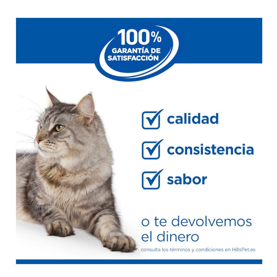 85 g Hill's Science Plan Kitten Pollo sobre en salsa para gatitos, , large indicador imagen numero 10