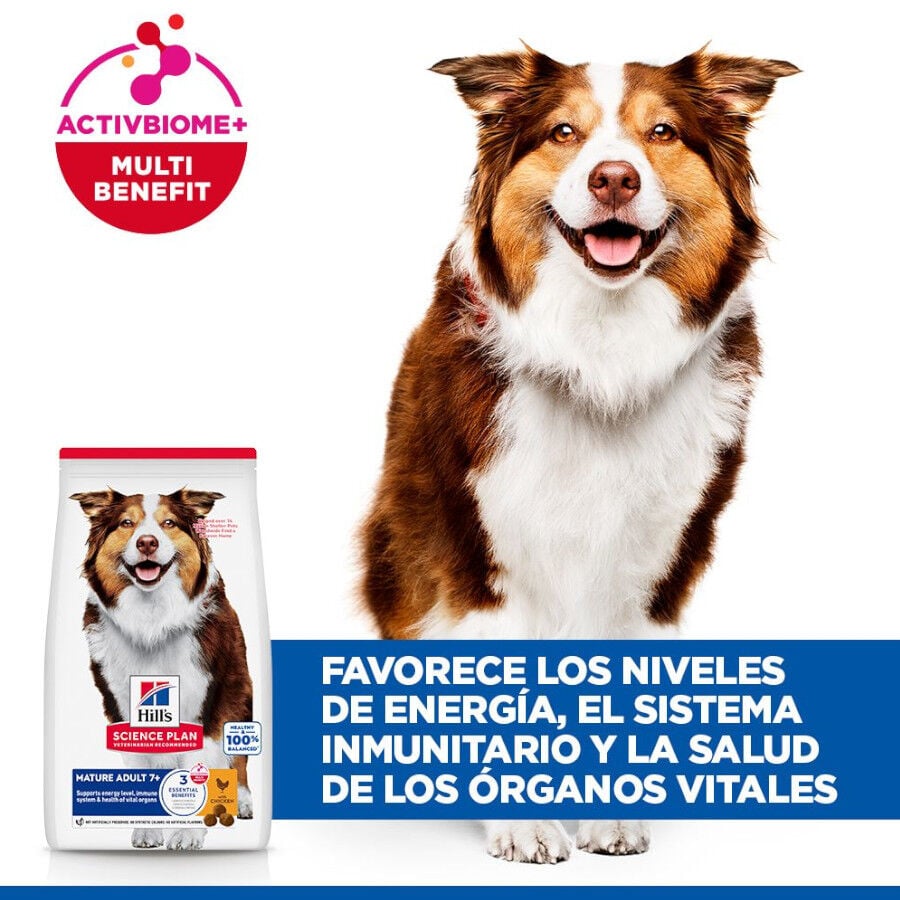 14 kg Hill's Science Plan Mature Adult Medium Pollo pienso para perros, , large indicador imagen numero 4