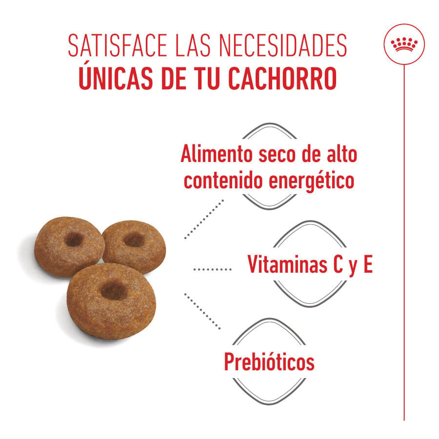 4 kg Royal Canin Starter MotheryBaby Maxi pienso para perros, , large indicador imagen numero 4
