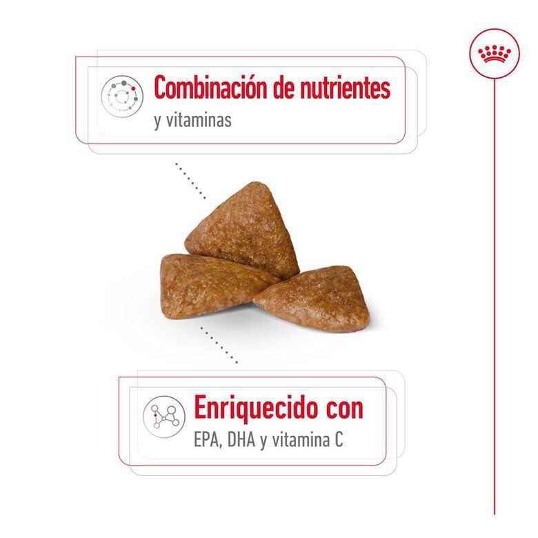 1.5 kg Royal Canin X-Small Ageing 12+ Adult pienso para perros&nbsp;senior, , large indicador imagen numero 6