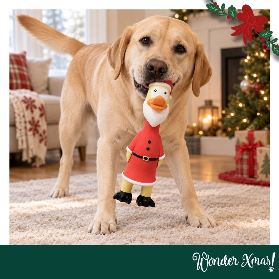 Wonder Christmas Pollo L&aacute;tex Juguete para perros, , large Imagen numero 2