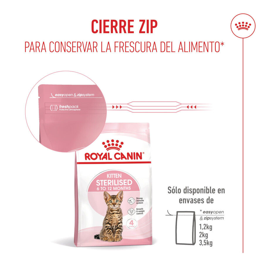 3.5 kg Royal Canin Kitten Sterilised pienso para gatos, , large Imagen numero 12
