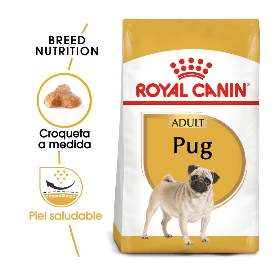 3 kg Royal Canin Adult Pug pienso para perros, , large Imagen numero 2