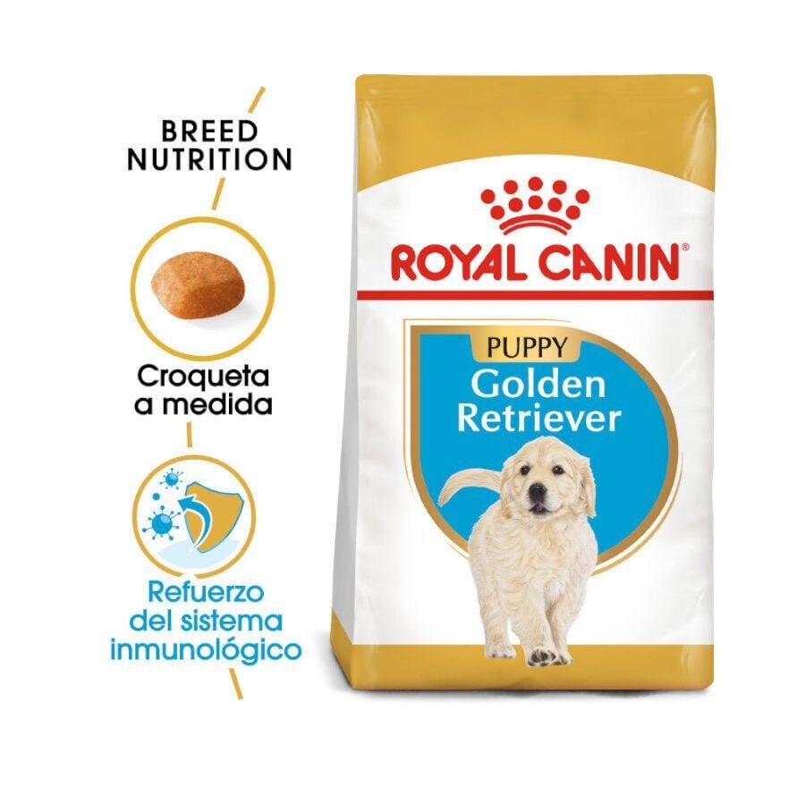 12 kg Royal Canin Puppy Golden Retriever pienso para perros, , large indicador imagen numero 2