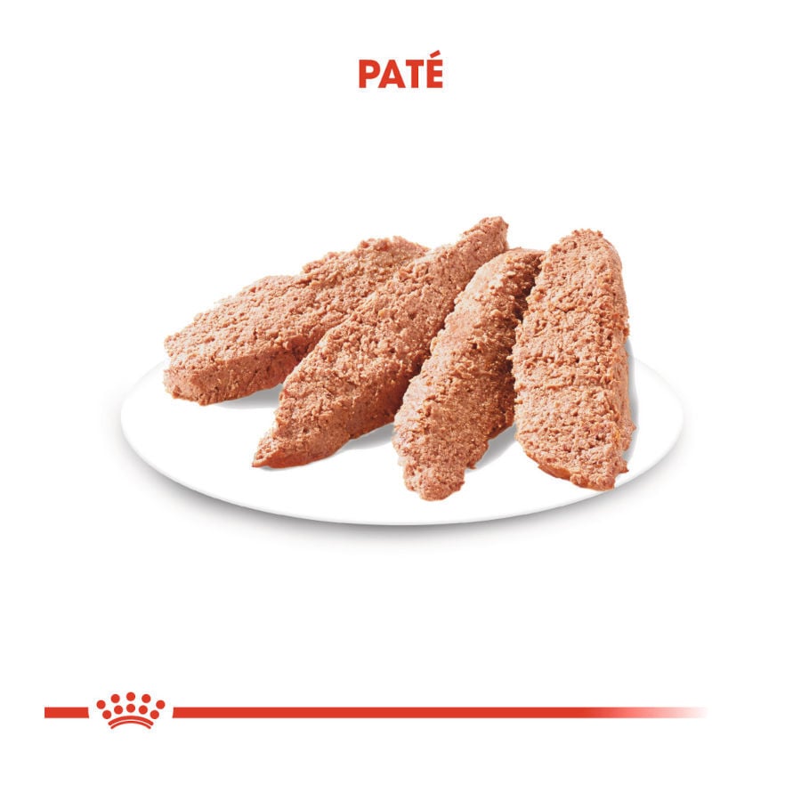 85 g Royal Canin Light Weight Care Sobres Pat&eacute; para perros, , large Imagen numero 3