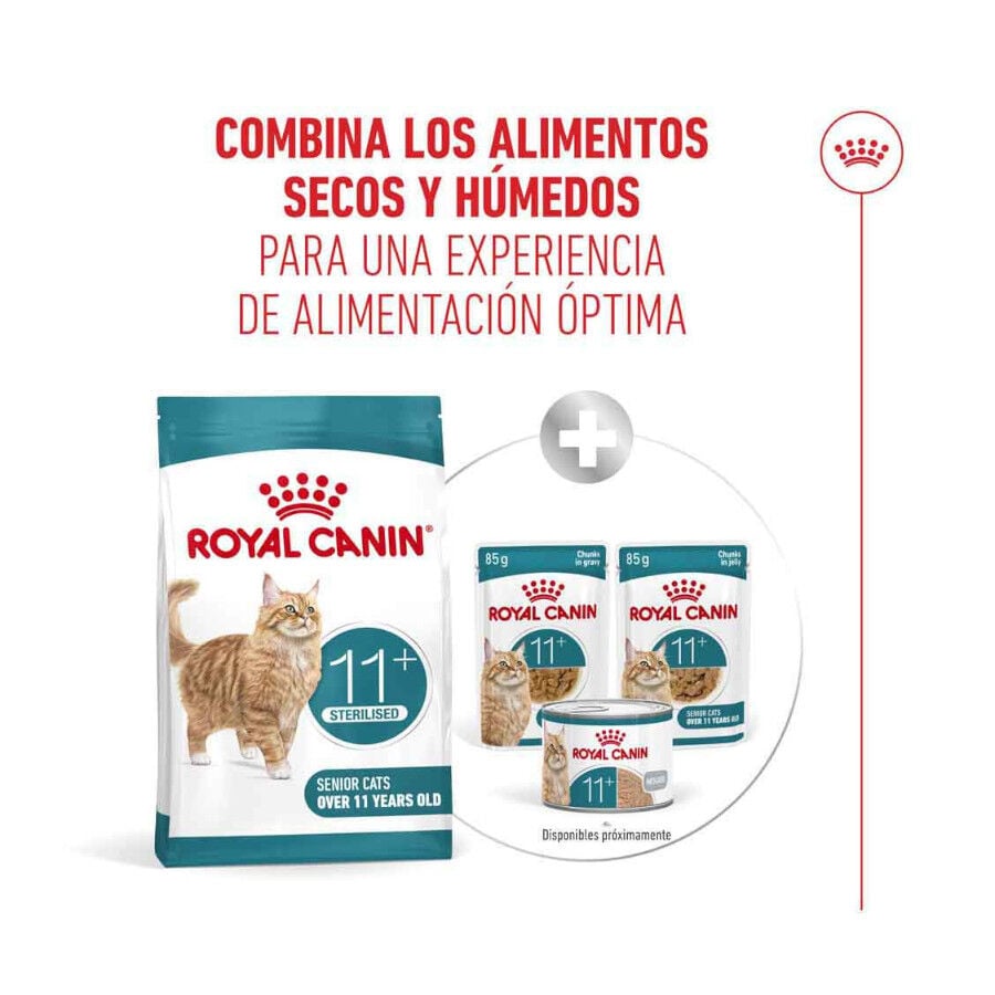 4 kg Royal Canin Ageing 11+ Sterilised pienso para gatos&nbsp;senior, , large Imagen numero 12