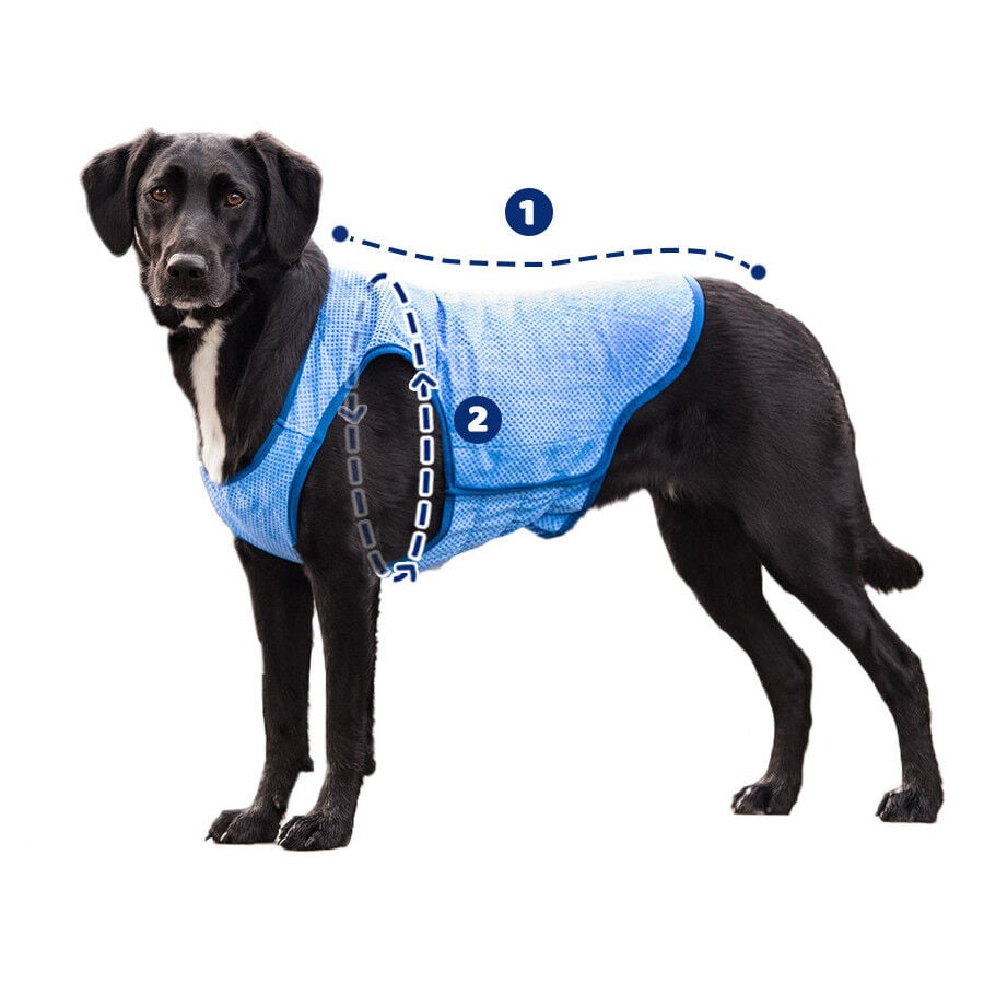GF Pet ElastoFit Ice Vest Chaleco Refrescante para perros, , large indicador imagen numero 7
