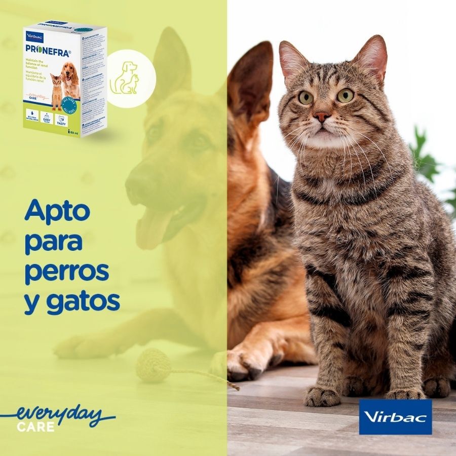 60 ml Virbac Pronefra Suplemento Alimenticio para perros y gatos, , large Imagen numero 5