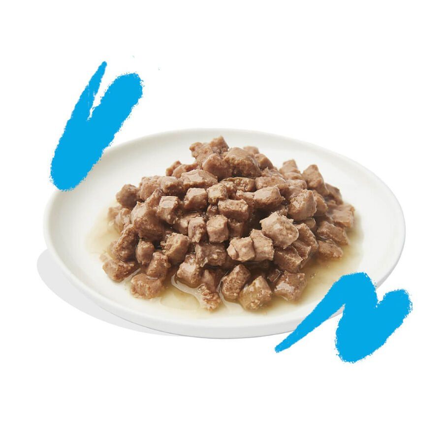 85 g Edgard & Cooper Adult Trocitos de Salm&oacute;n y Pollo en Salsa lata para gatos, , large indicador imagen numero 2