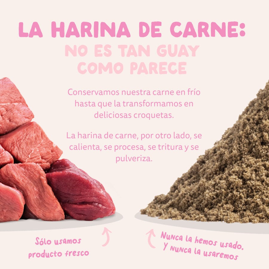 12 kg Edgard & Cooper Puppy Pato y Pollo pienso para perros, , large indicador imagen numero 9