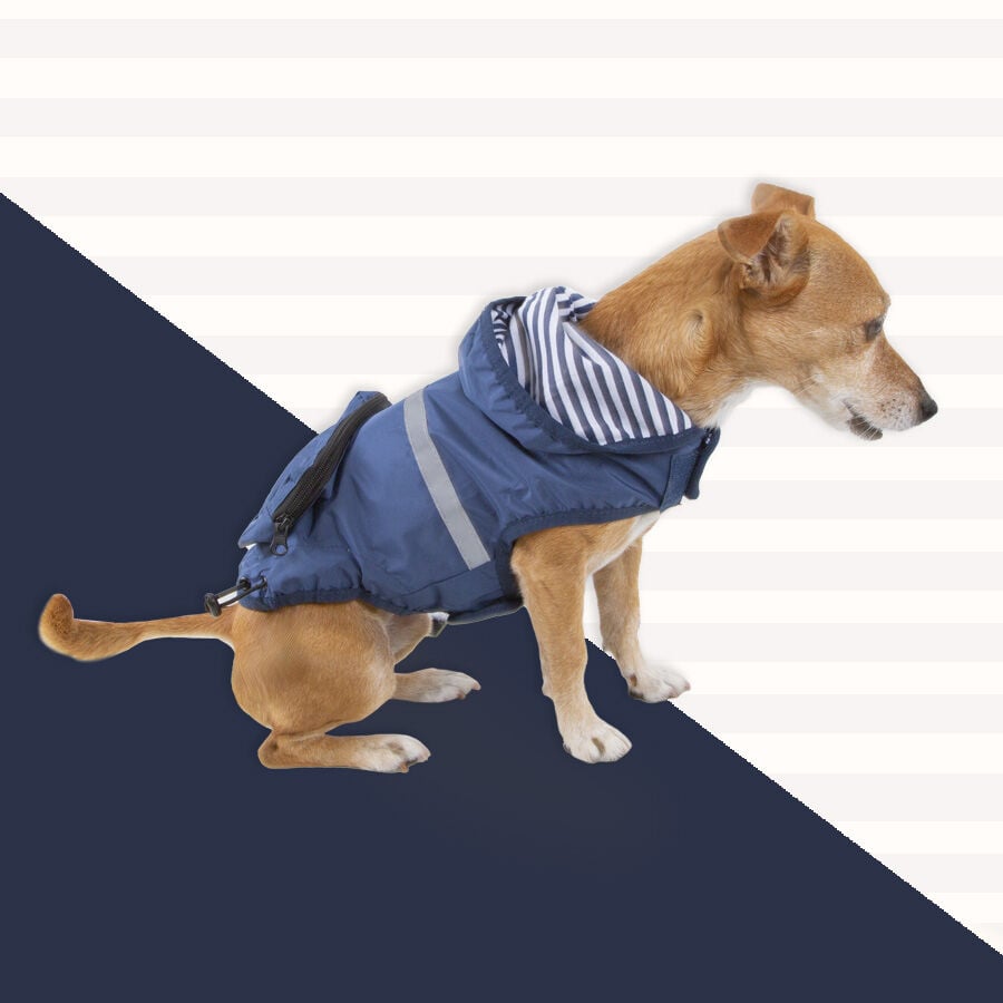 Outech Impermeable con Bolsillo Azul Marino para perros, , large indicador imagen numero 4