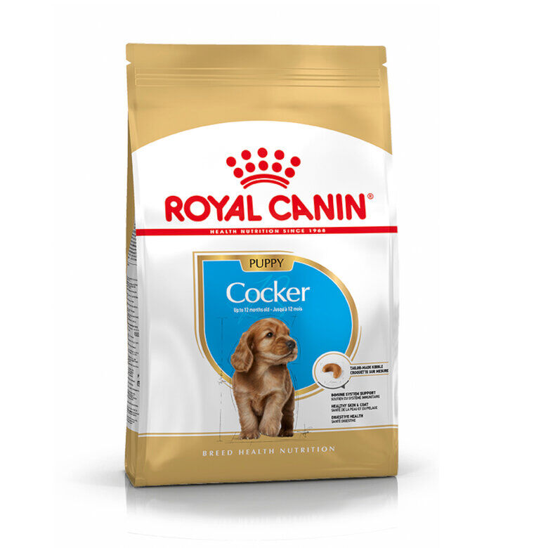 3 kg Royal Canin Puppy Cocker pienso para perros, , large Imagen numero 1