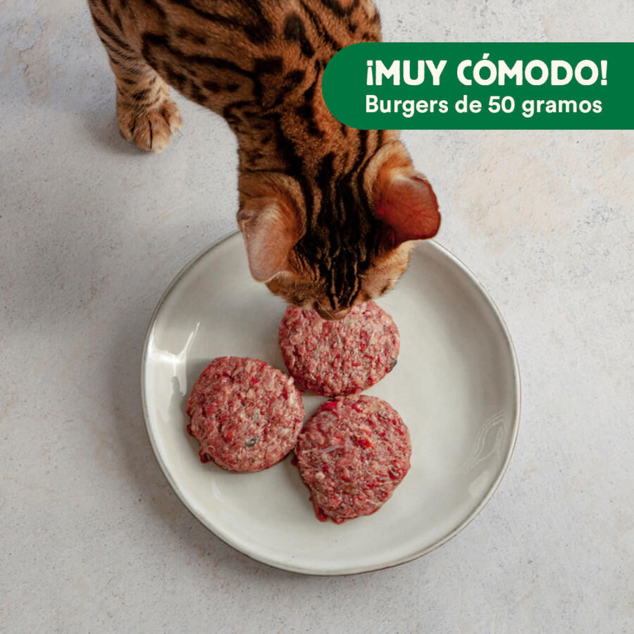 1 kg Wild Balance Men&uacute; Barf salm&oacute;n pavo y verduras comida congelada para gatos, , large Imagen numero 5
