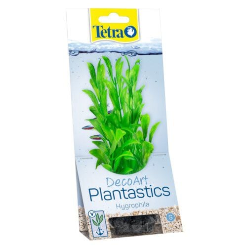 Tetra Hygrophi planta decorativa para acuario Imagen numero 1