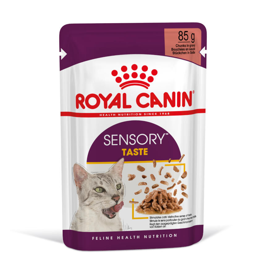85 g Royal Canin Adult Sensory Taste salsa sobre para gatos, , large indicador imagen numero 2