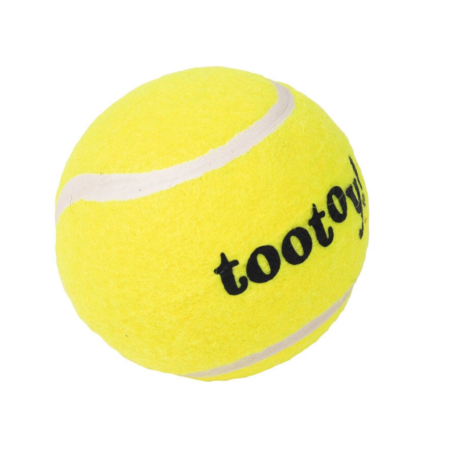 Tootoy! Chase Squeaker Ball pelota de tenis para perros, , large indicador imagen numero 2