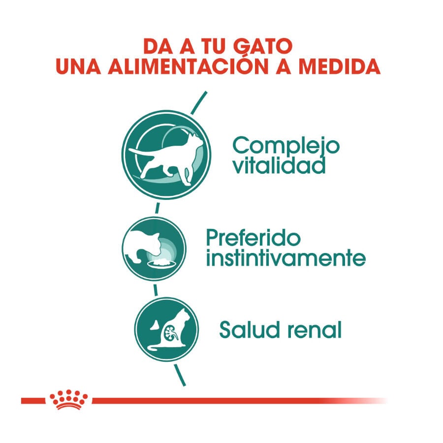 85 g Royal Canin Senior 7+ Instinctive sobres para gatos, , large indicador imagen numero 5