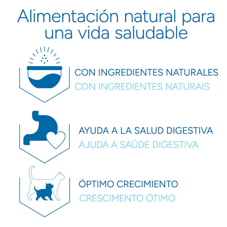 2 kg Criadores Cient&iacute;fico Kitten pollo pienso para gatos&nbsp;, , large indicador imagen numero 6