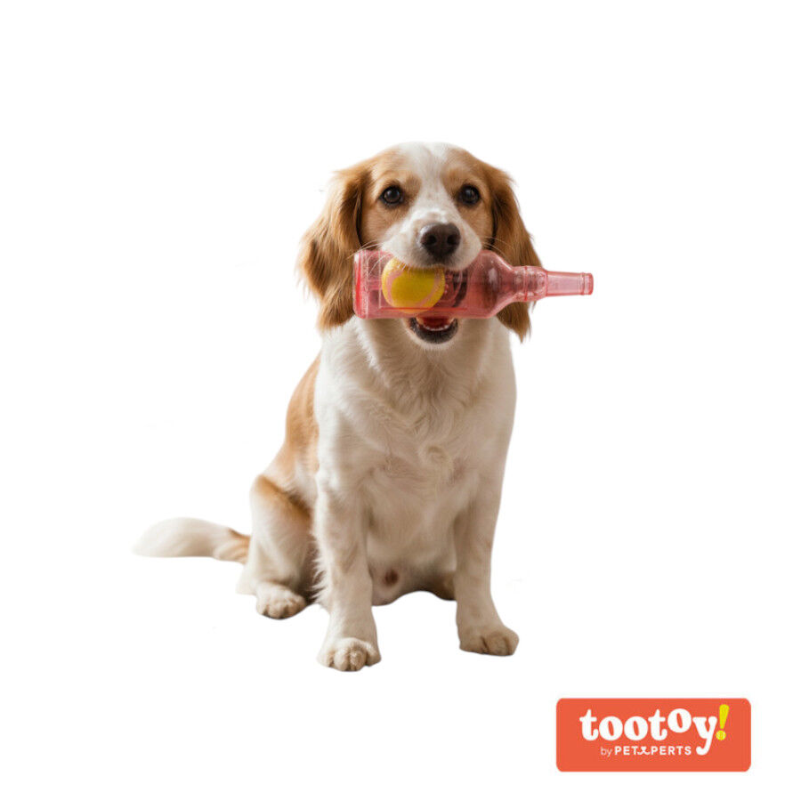 Tootoy! Mordedor Botella con Pelota de Goma para perros
