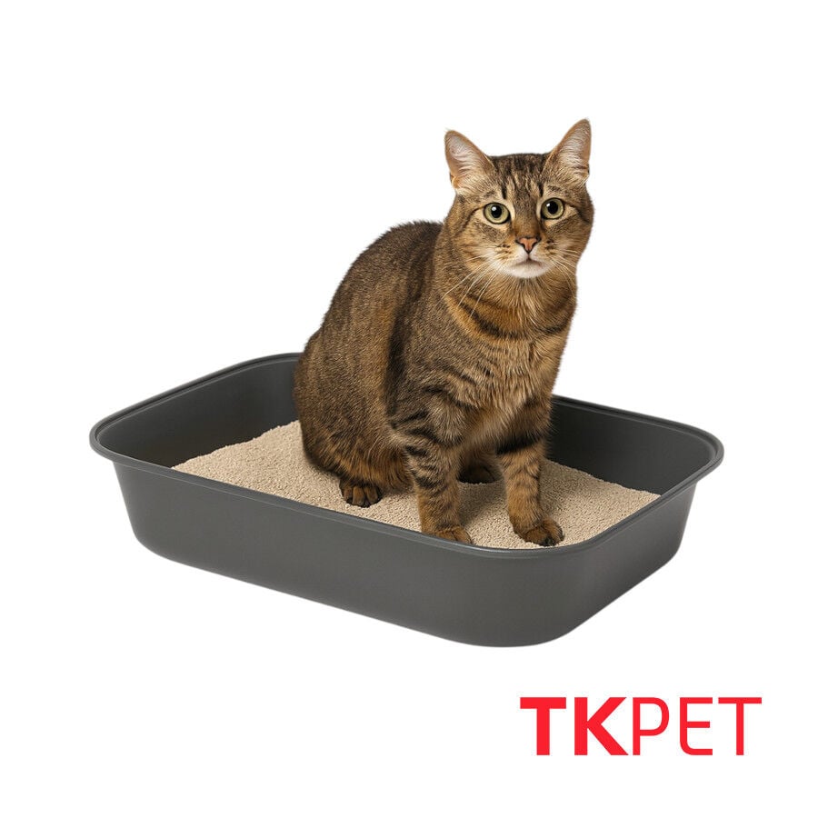TK Pet Bandeja Sanitaria B&aacute;sica para gatos