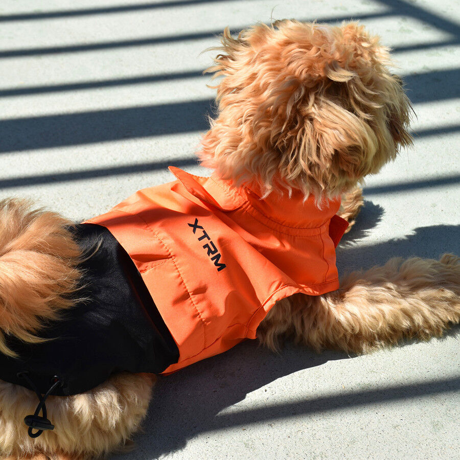 Nayeco X-TRM Chubasquero Naranja y Negro para perros, , large indicador imagen numero 1