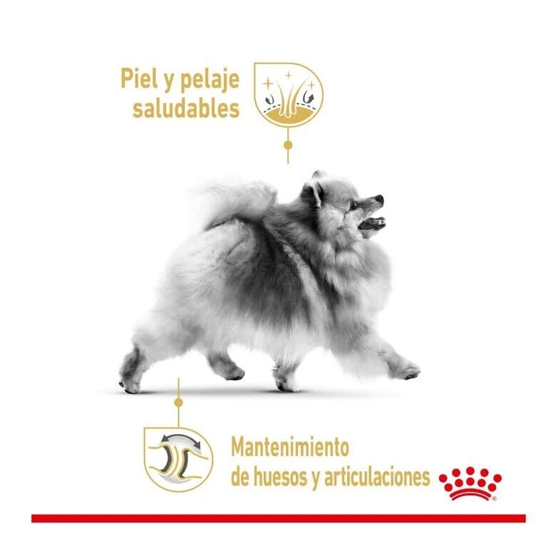 3 kg Royal Canin Pomeranian Adult pienso para perros, , large Imagen numero 2