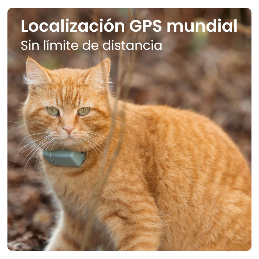 Tractive Cat Mini Localizador GPS Menta para gatos, , large Imagen numero 4