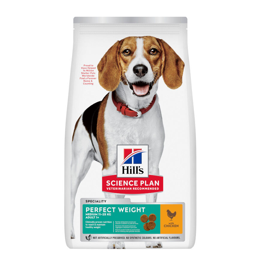 12 kg Hill's Science Plan Perfect Weight Adult Medium Pollo pienso para perros, , large Imagen numero 1