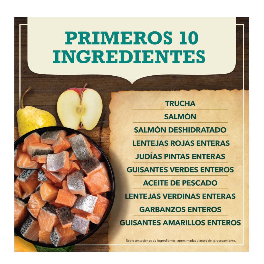 11.4 kg Acana Coldwater Fish pienso para perros, , large indicador imagen numero 4