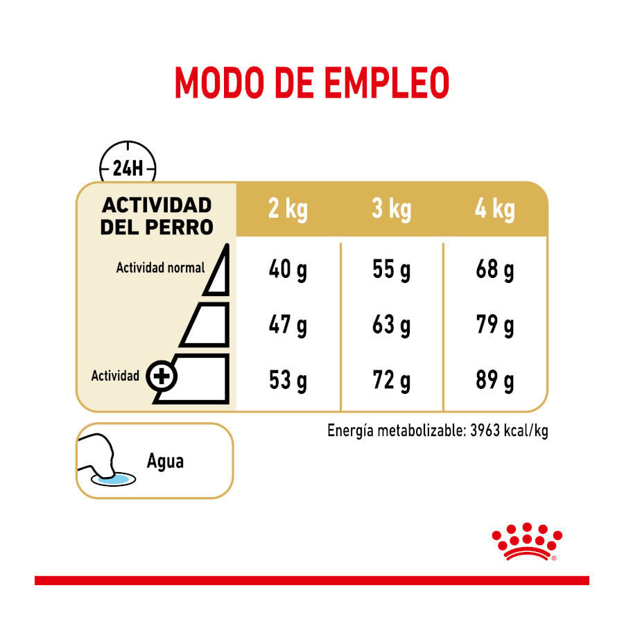 1.5 kg Royal Canin Adult 8+ Yorkshire pienso para perros, , large indicador imagen numero 6