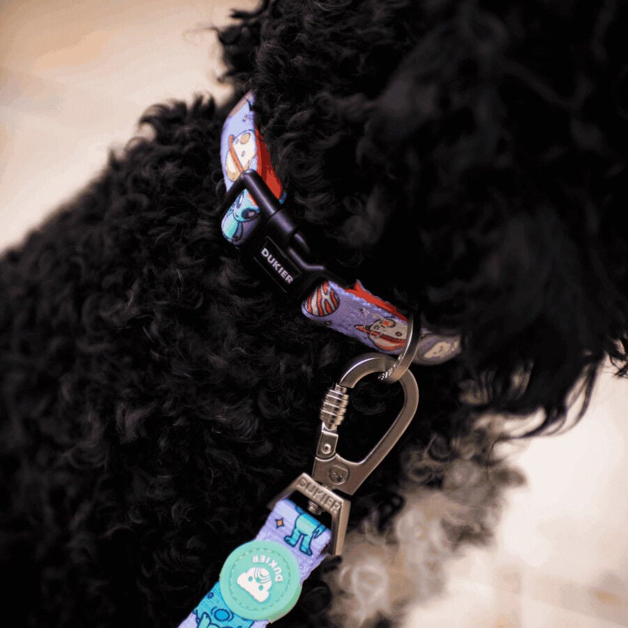 Dukier Collar Estampado Alien para perros, , large indicador imagen numero 3