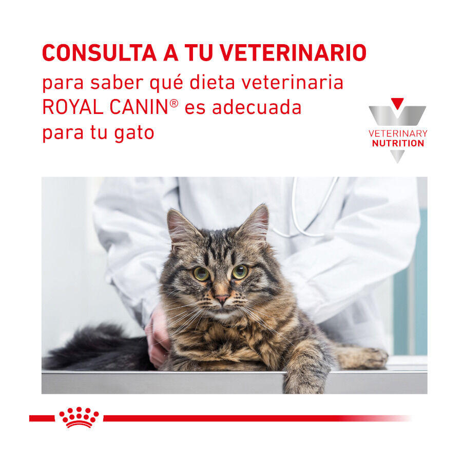 4 kg Royal Canin Veterinary Hepatic pienso para gatos, , large Imagen numero 8