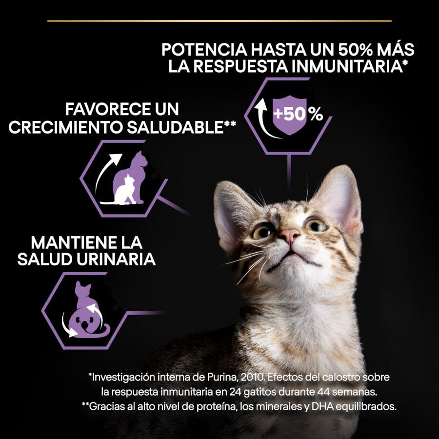 3 kg Pro Plan Kitten Pollo pienso para gatos&nbsp;, , large indicador imagen numero 3