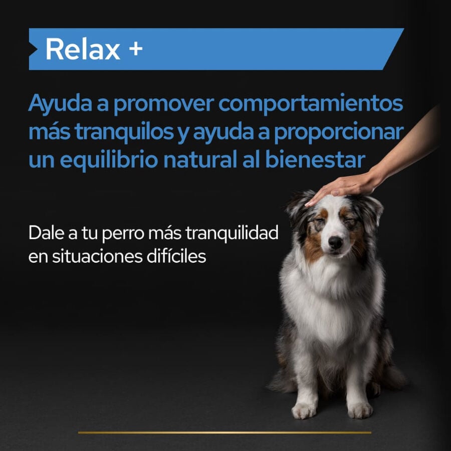 250 ml Pro Plan Relax + Suplemento en Aceite para perros, , large Imagen numero 3