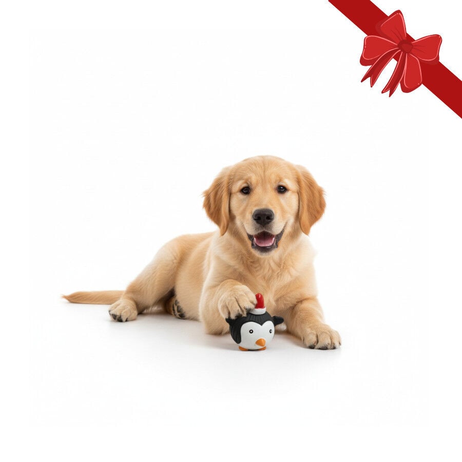 Wonder Christmas Pelota de Ping&uuml;ino Navide&ntilde;a para perros, , large indicador imagen numero 1